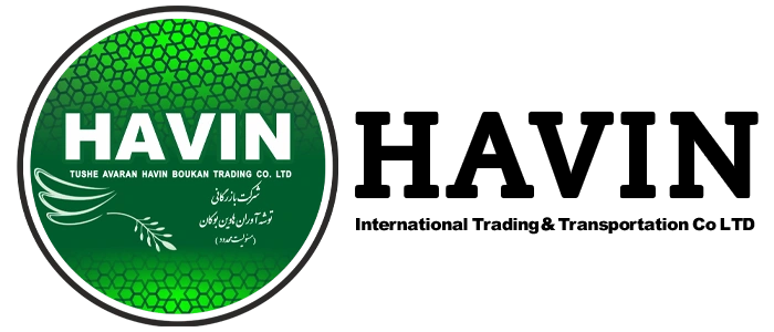 Logo Havin