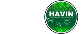 لوگو هاوین